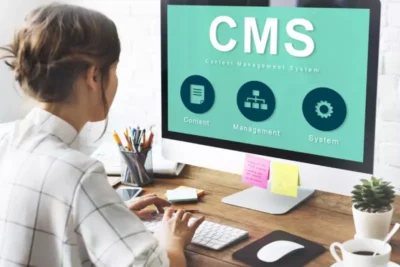 CMS sin cabeza (Headless CMS) para grandes portales corporativos y e-commerce